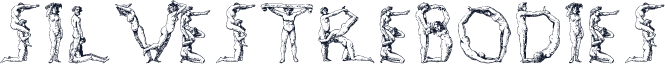 SilvestreBodies