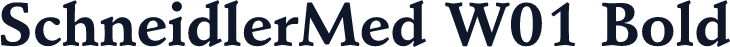 SchneidlerMed W01 Bold