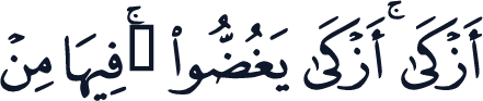 QCF_P353