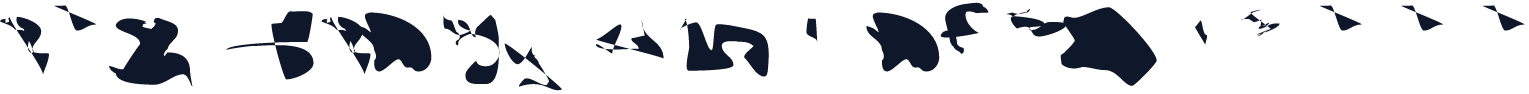 CISF Camouflage Kit III