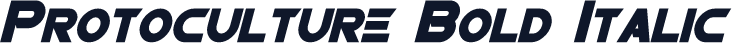 Protoculture Bold Italic