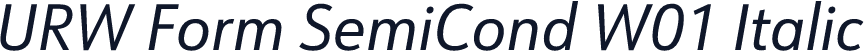 URW Form SemiCond W01 Italic
