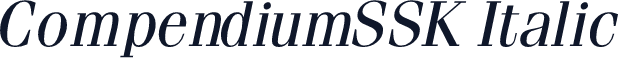 CompendiumSSK Italic