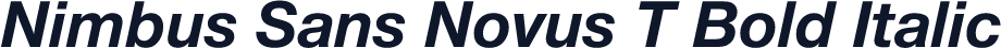 Nimbus Sans Novus T Bold Italic