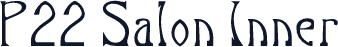 P22 Salon Inner