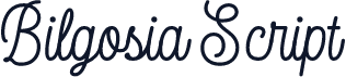 Bilgosia Script