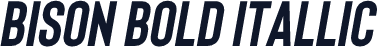 Bison Bold Itallic