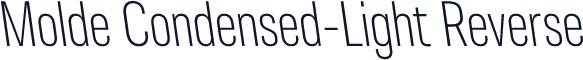 Molde Condensed-Light Reverse