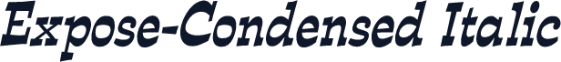 Expose-Condensed Italic