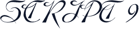 SCRIPT 9