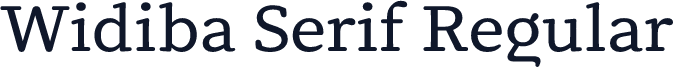 Widiba Serif Regular