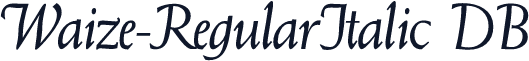 Waize-RegularItalic DB