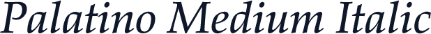 Palatino Medium Italic