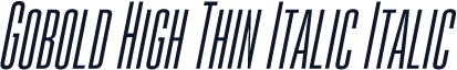 Gobold High Thin Italic Italic