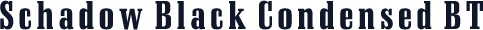 Schadow Black Condensed BT