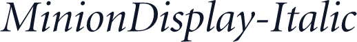 MinionDisplay-Italic