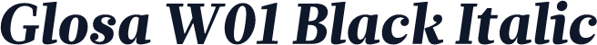 Glosa W01 Black Italic
