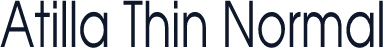Atilla Thin Normal