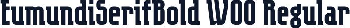 EumundiSerifBold W00 Regular