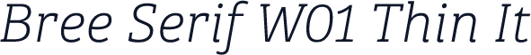 Bree Serif W01 Thin It