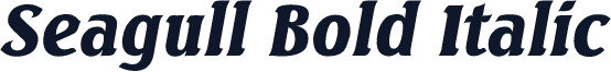 Seagull Bold Italic
