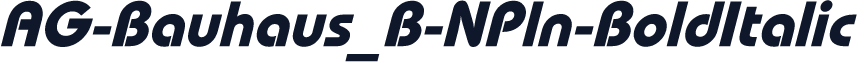 AG-Bauhaus_B-NPln-BoldItalic