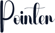 Pointer