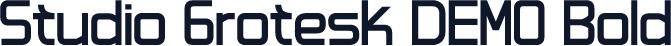 Studio Grotesk DEMO Bold