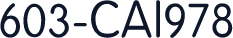 603-CAI978