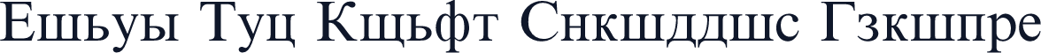 Times New Roman Cyrillic Upright