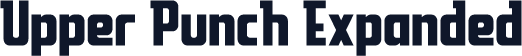 Upper Punch Expanded