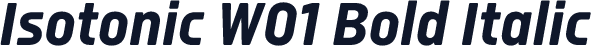 Isotonic W01 Bold Italic