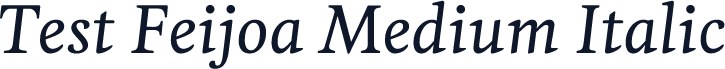 Test Feijoa Medium Italic