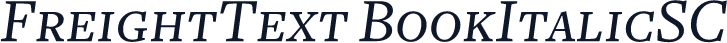 FreightText BookItalicSC