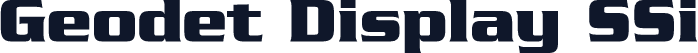 Geodet Display SSi