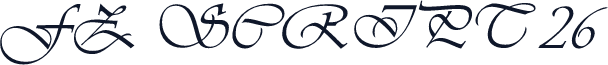 FZ SCRIPT 26