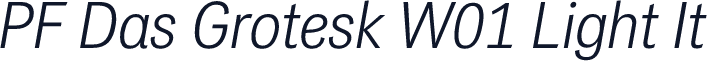 PF Das Grotesk W01 Light It