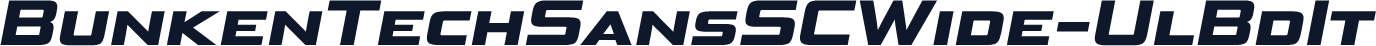 ☞BunkenTechSansSCWide-UlBdIt