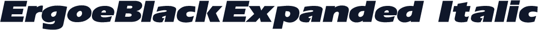 ErgoeBlackExpanded Italic