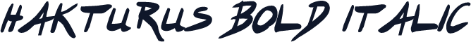 Hakturus Bold Italic