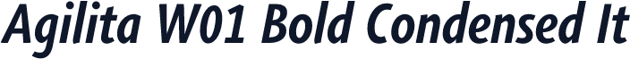 Agilita W01 Bold Condensed It