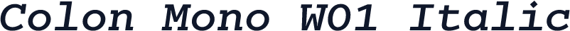 Colon Mono W01 Italic
