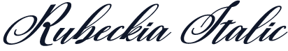 Rubeckia Italic