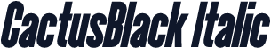 CactusBlack Italic