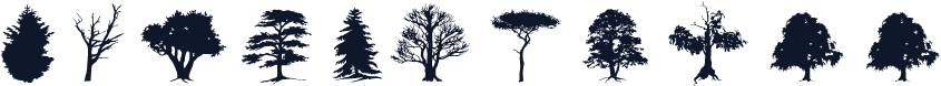 SubiktoTree