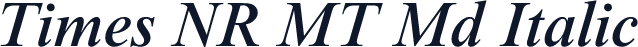 Times NR MT Md Italic
