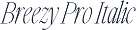 Breezy Pro Italic