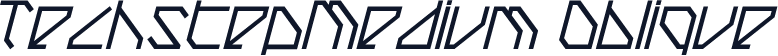 TechstepMedium Oblique