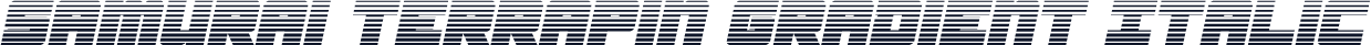Samurai Terrapin Gradient Italic