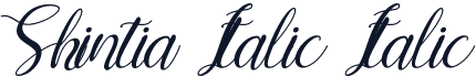 Shintia Italic Italic